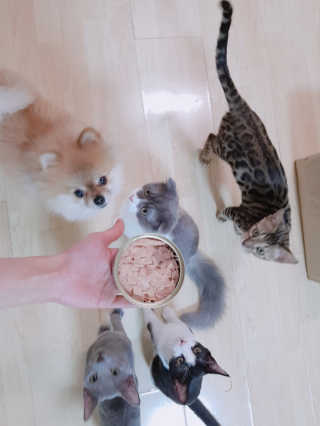 토리님이 올린 리뷰 사진 1