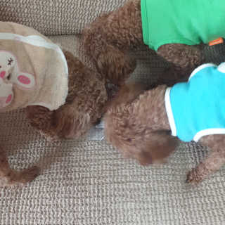 보라써니님이 올린 리뷰 사진 3