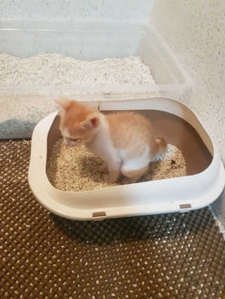 헐크갱크🌱님이 올린 리뷰 사진 1
