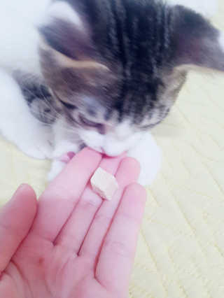은지은지은지은지님이 올린 리뷰 사진 2