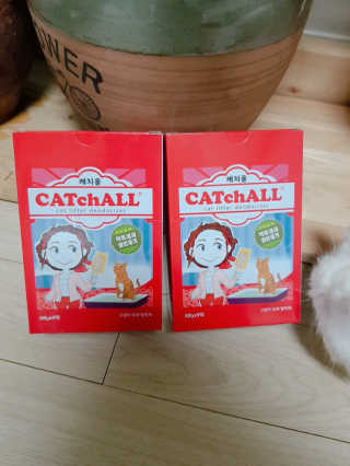 논지님이 올린 리뷰 사진 2