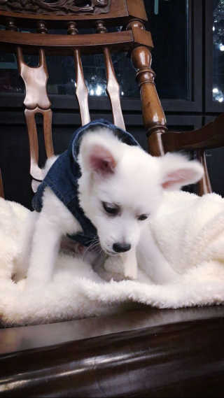 루이님이 올린 리뷰 사진 4