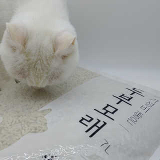 규빈띵쏘님이 올린 리뷰 사진 3