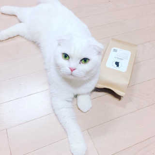 hush1744님이 올린 리뷰 사진 1