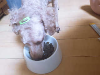 정현님이 올린 리뷰 사진 2