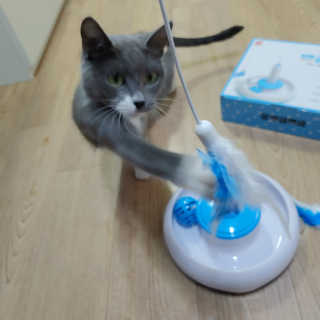 댜니님이 올린 리뷰 사진 2