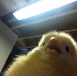 조이님이 올린 리뷰 사진 3