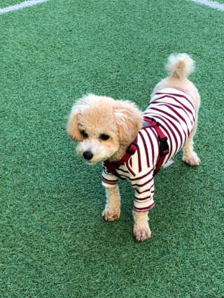 모모님이 올린 리뷰 사진 1