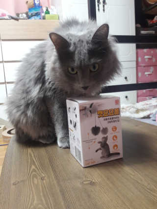 쪼꼬사랑이언니님이 올린 리뷰 사진 1