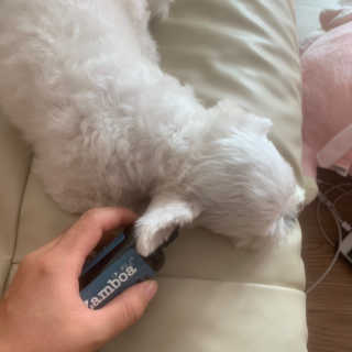 짱아야님이 올린 리뷰 사진 3