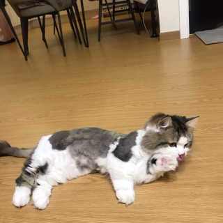 라라쓰님이 올린 리뷰 사진 4