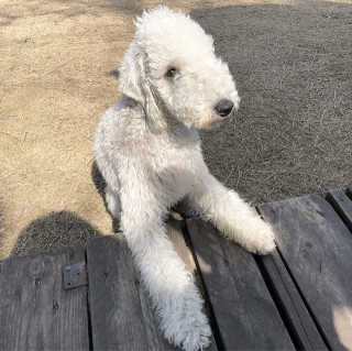 MaryChoi님이 올린 리뷰 사진 2
