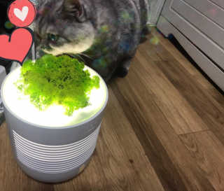 바푸니님이 올린 리뷰 사진 1