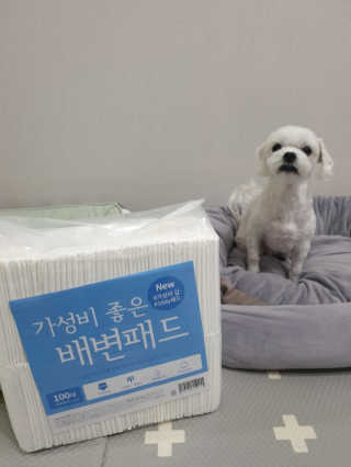 cjmannia님이 올린 리뷰 사진 2