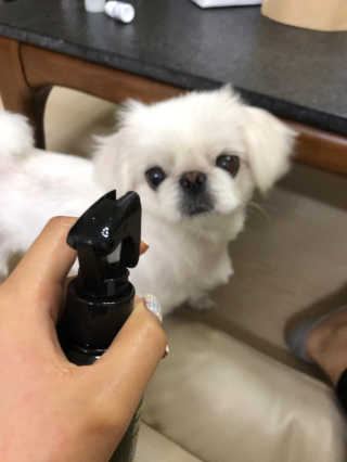 꼬우닝님이 올린 리뷰 사진 2