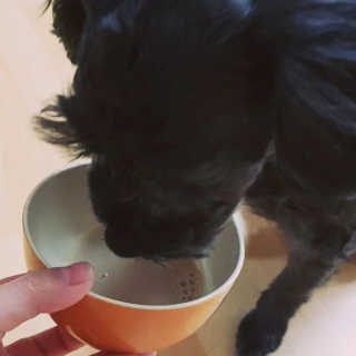 Jenny님이 올린 리뷰 사진 3