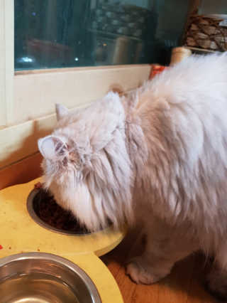 KyoungHunKi님이 올린 리뷰 사진 3