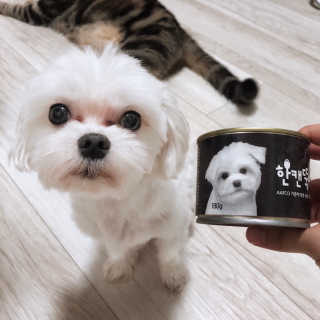 [펫토리아] 한캔뚝딱 강아지 주식캔 12종 콤보 — 4점을 준 리뷰어가 2019년 8월 올린 사용 사진