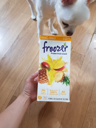 저칼로리 스무디바, 프루져 Froozer 2박스 — 5점을 준 리뷰어가 2018년 7월 올린 사용 사진