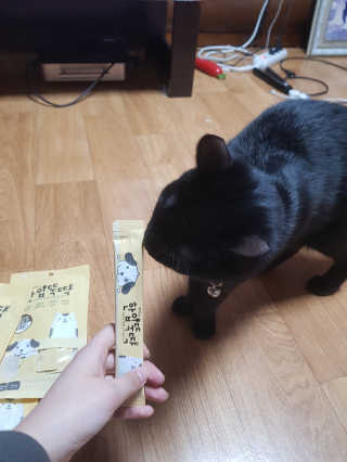 [펫토리아] 강아지,고양이겸용 짜먹는 한입뚝딱 — 5점을 준 리뷰어가 2019년 1월 올린 사용 사진