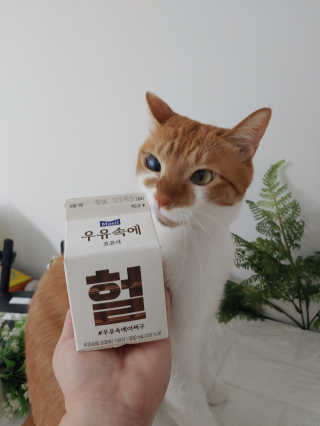 오나오나님이 올린 리뷰 사진 1