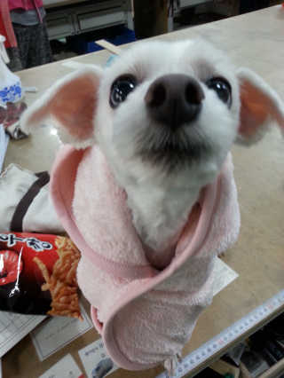 김공주님님이 올린 리뷰 사진 4