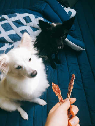 young님이 올린 리뷰 사진 2