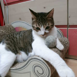 3M님이 올린 리뷰 사진 1