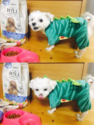 abcde님이 올린 리뷰 사진 1