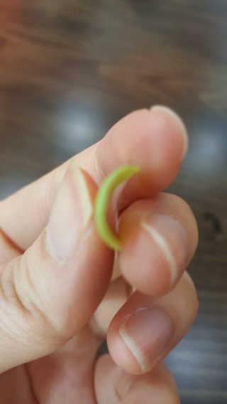 히야예준맘님이 올린 리뷰 사진 3