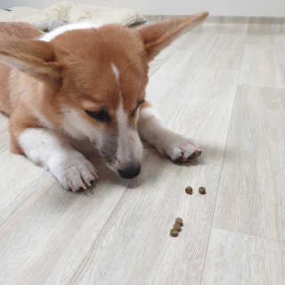 진이맘님이 올린 리뷰 사진 3