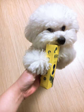 sooing님이 올린 리뷰 사진 2