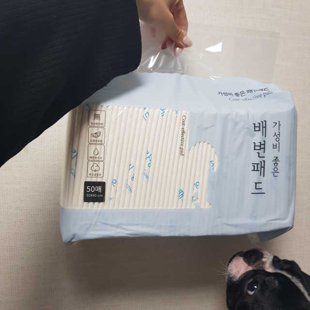 가성비 좋은 배변패드 50매 2묶음 리뷰 사진
