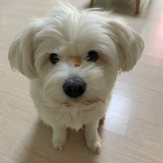 헬로샤샤님이 올린 리뷰 사진 3