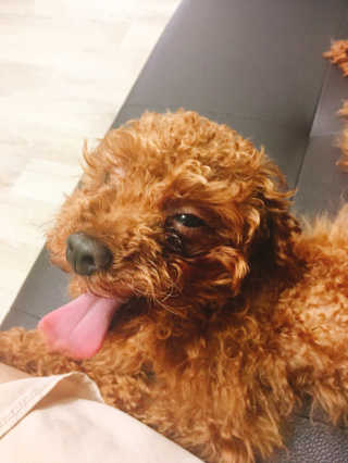 cola님이 올린 리뷰 사진 3