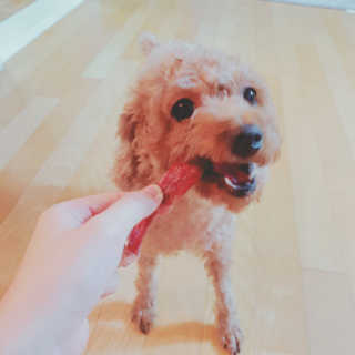 유나님이 올린 리뷰 사진 3