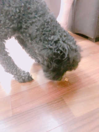 hj님이 올린 리뷰 사진 1