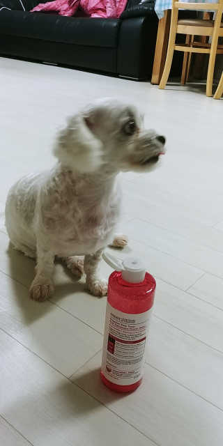 여늬님이 올린 리뷰 사진 4