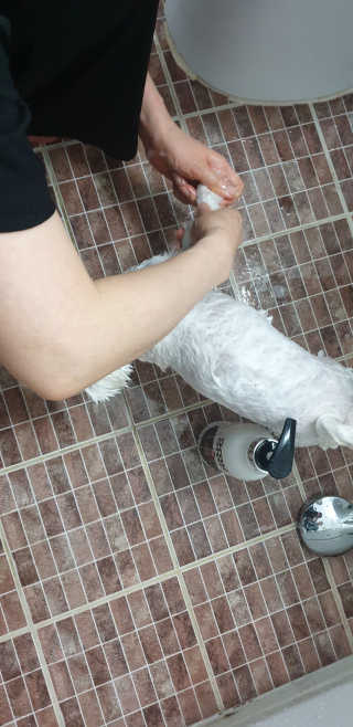 마카롱님이 올린 리뷰 사진 3