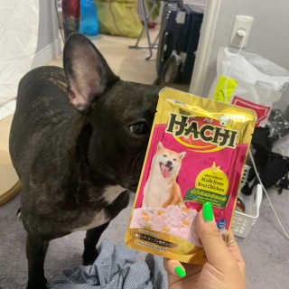 [펫토리아] 토로토로 하치  강아지 파우치간식 — 5점을 준 리뷰어가 2019년 6월 올린 사용 사진