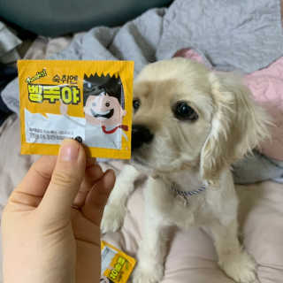 Ghhryh님이 올린 리뷰 사진 2