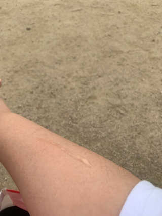 니나노나님이 올린 리뷰 사진 1