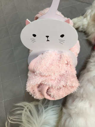 당근님이 올린 리뷰 사진 3