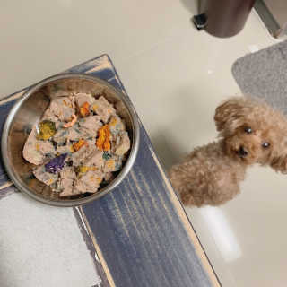 [어글어글] 반려견 친환경 간식 9종 세트 — 5점을 준 리뷰어가 2019년 6월 올린 사용 사진