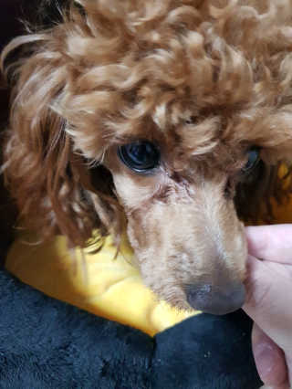 라떼언니님이 올린 리뷰 사진 3