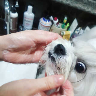 loveskyboom님이 올린 리뷰 사진 1