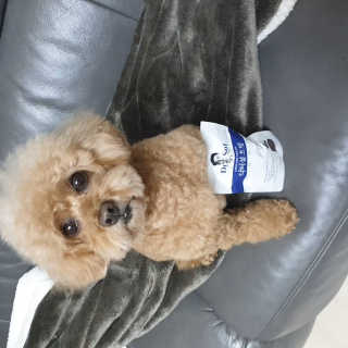 썰뇽님이 올린 리뷰 사진 1