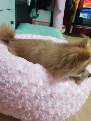 tmvksl5님이 올린 리뷰 사진 4