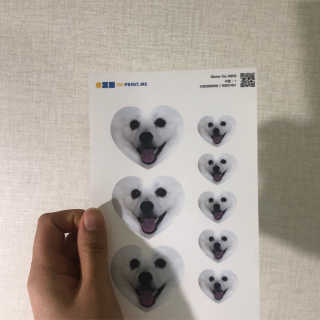 챠우쁀쁀님이 올린 리뷰 사진 2