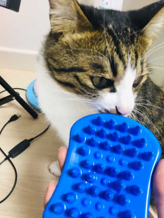 글라라5205님이 올린 리뷰 사진 4
